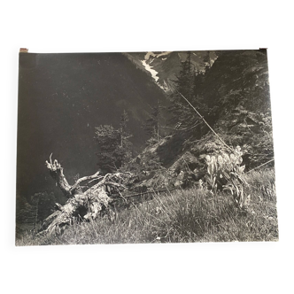 Bernard Darot 20th century silver photo On the mountainside