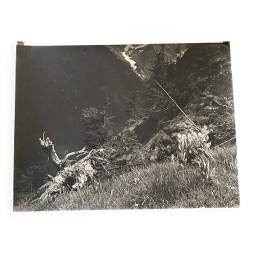 Photo argentique Bernard Darot XXe A flanc de montagne
