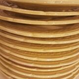 Asparagus serving ,1 dish and 12 plates