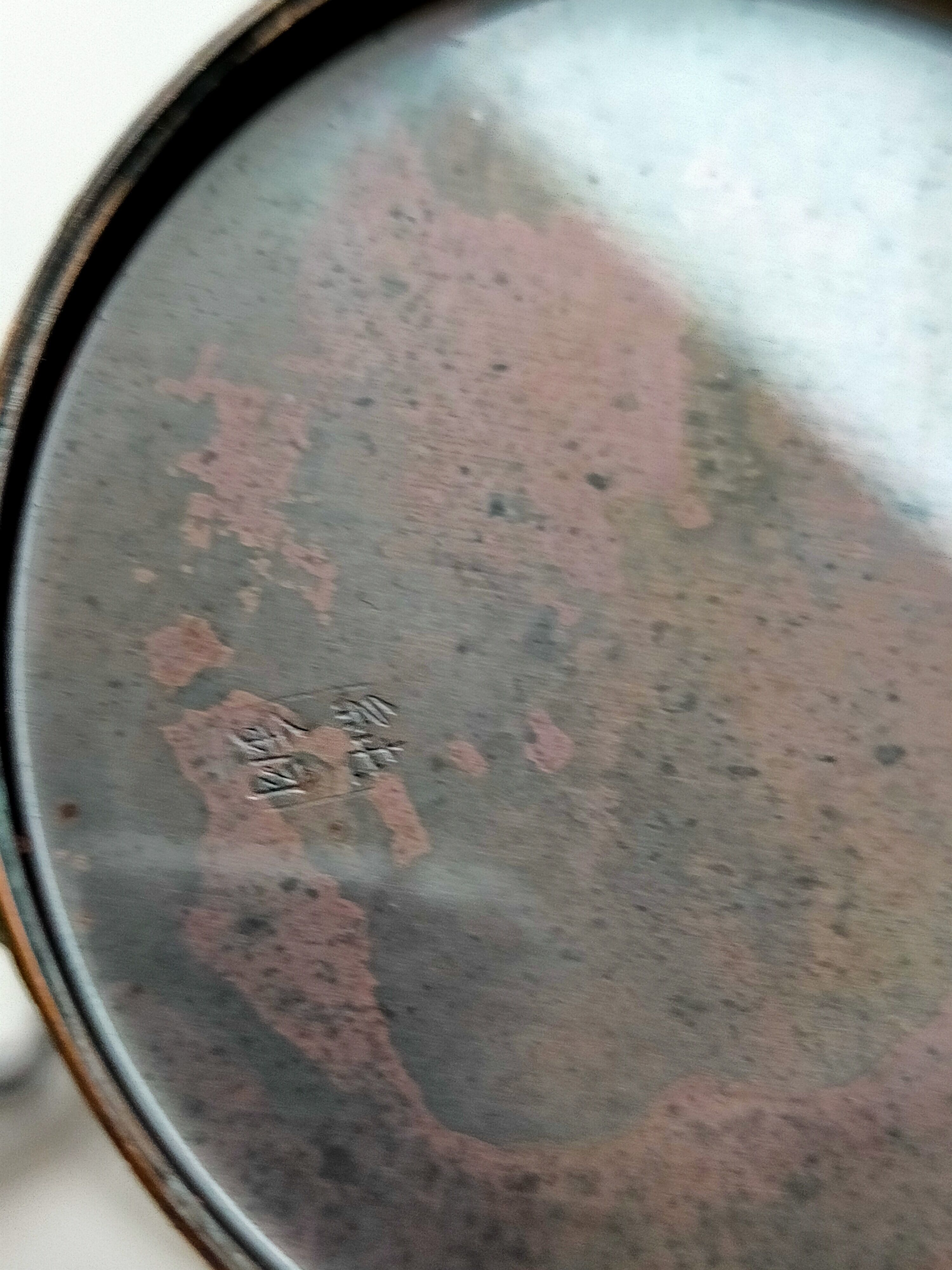 Hammered copper watering can