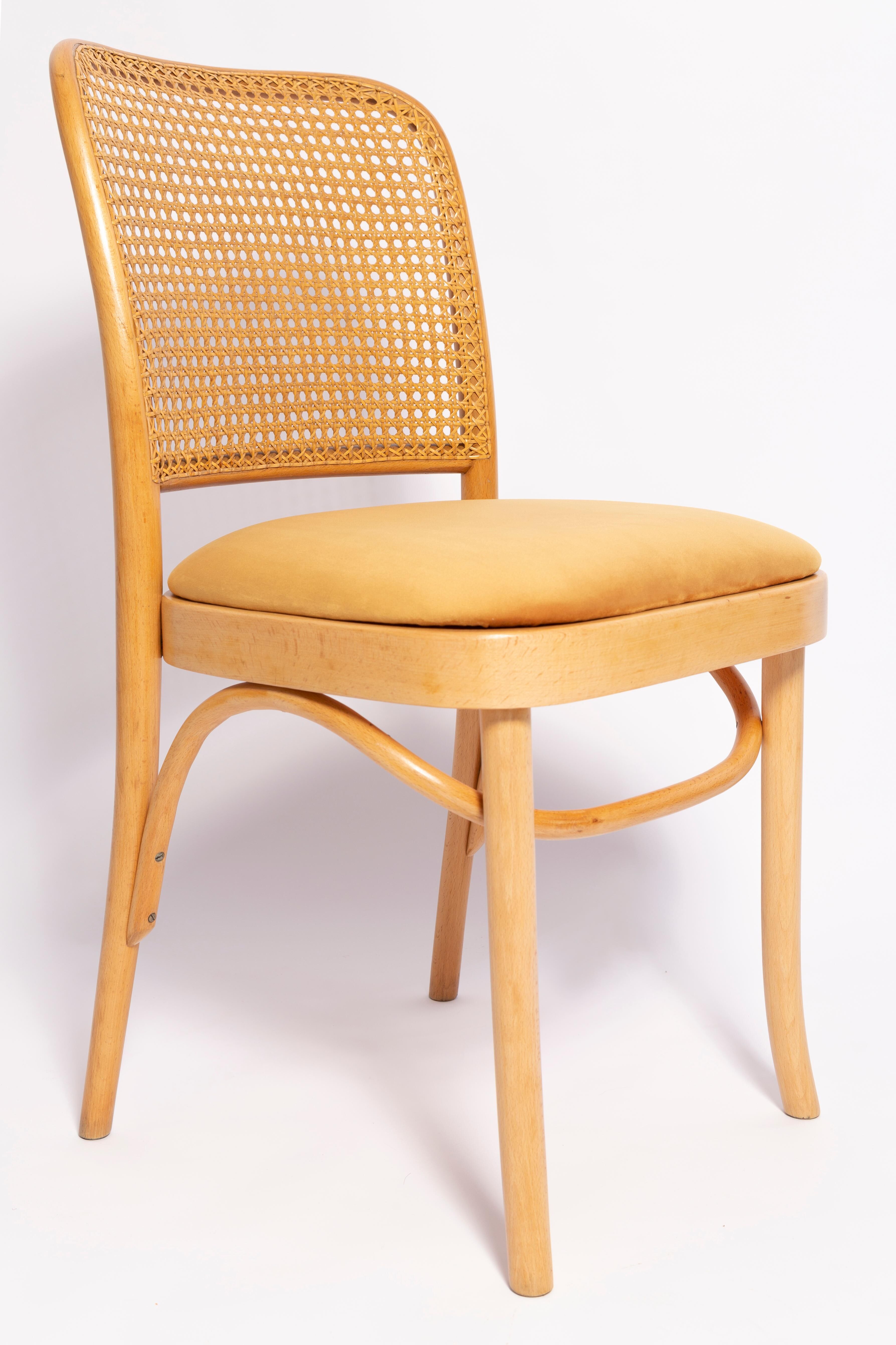 Thonet chair in rattan and yellow velvet wood from the mid-century, Europe, 1960s.
