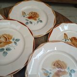Set of 7 plates digoin Sarreguemines