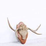 Momentum trophy 1968