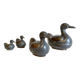 Vintage DUCKS Family