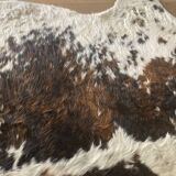Authentic cowhide traditional tannery