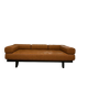 Canape en cuir De Sede DS 80/03