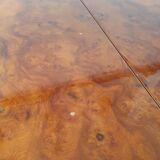 Elm burl coffee table, 70s