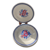 6 Salsola flat plates