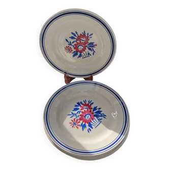 6 assiettes plates Salsola