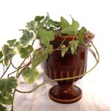 Medici-style cache-pot