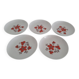 Lot de 5 assiettes creuses- Faïencerie Arzberg- 1960/70