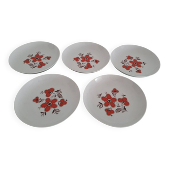 Lot de 5 assiettes creuses- Faïencerie Arzberg- 1960/70