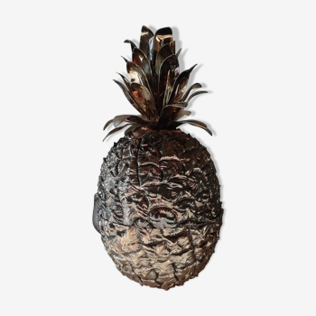 Ananas par hans turnwald