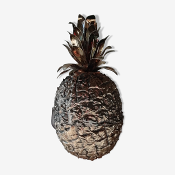 Pineapple by hans turnwald