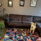 Berber carpet - 170x131cm