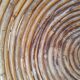 Rattan and brass basket 1970