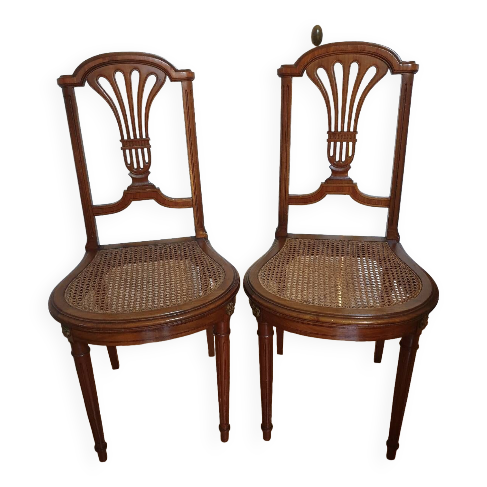 Louis XVI cane chairs