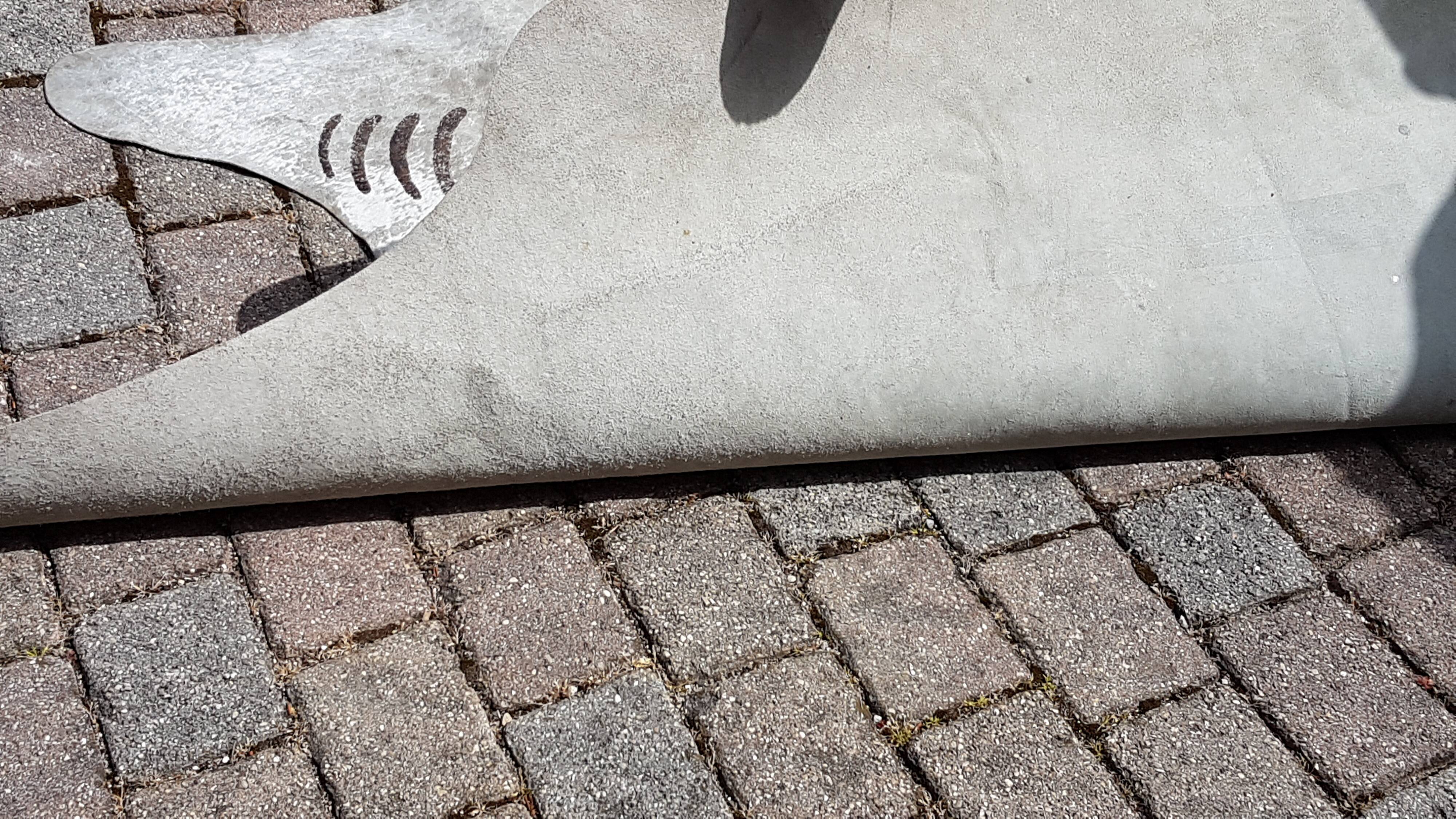 Zebree cowhide 225x190cm