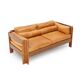 Zelda 2-seater sofa by Sergio Asti for Poltronova, 1960s