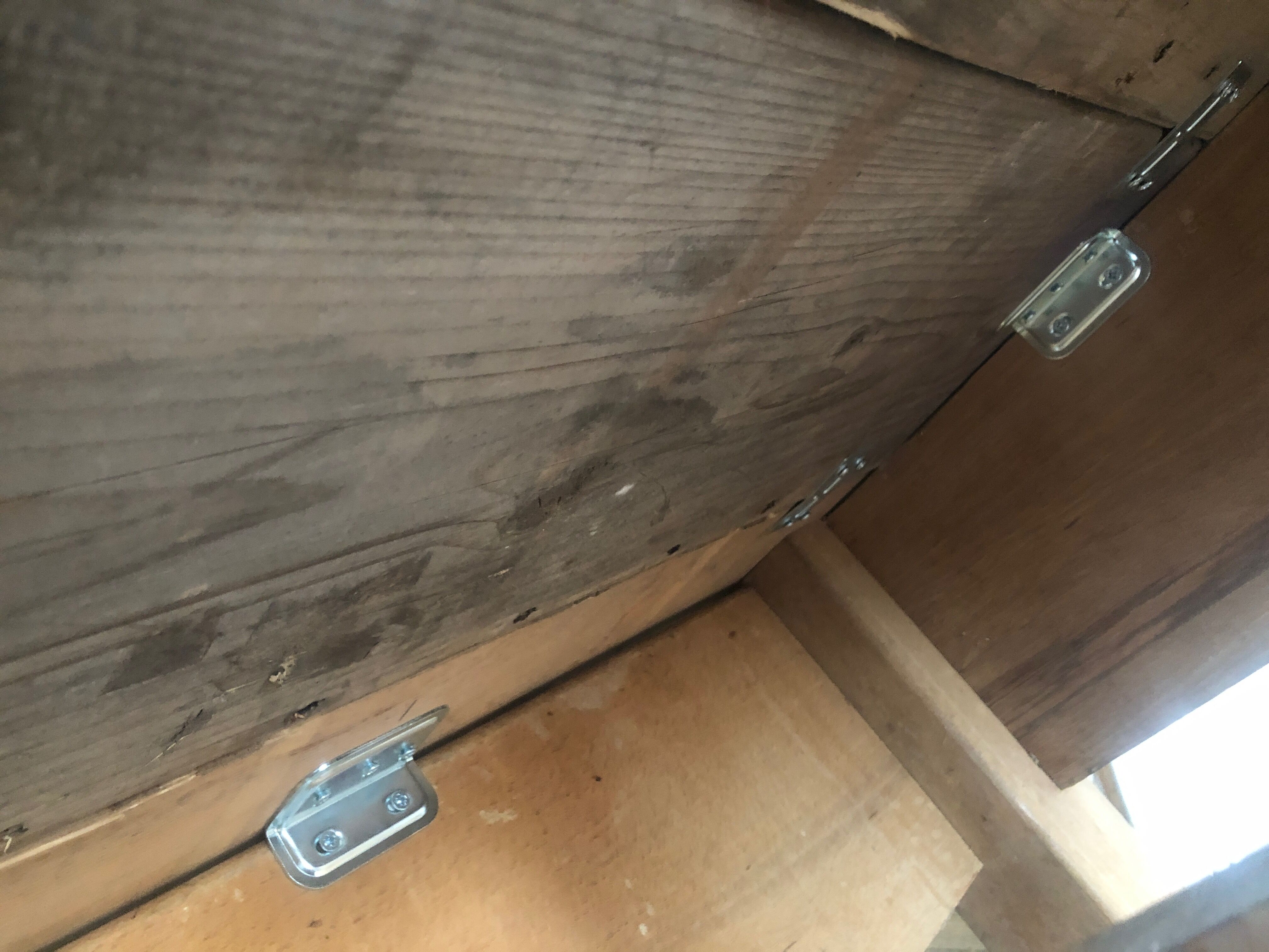 Etabli table comptoir atelier