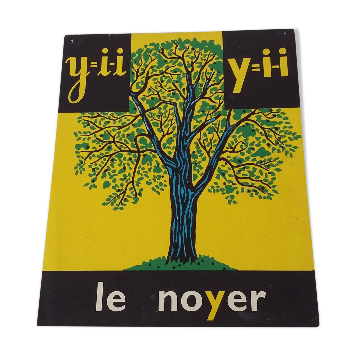 Reading image: the walnut tree