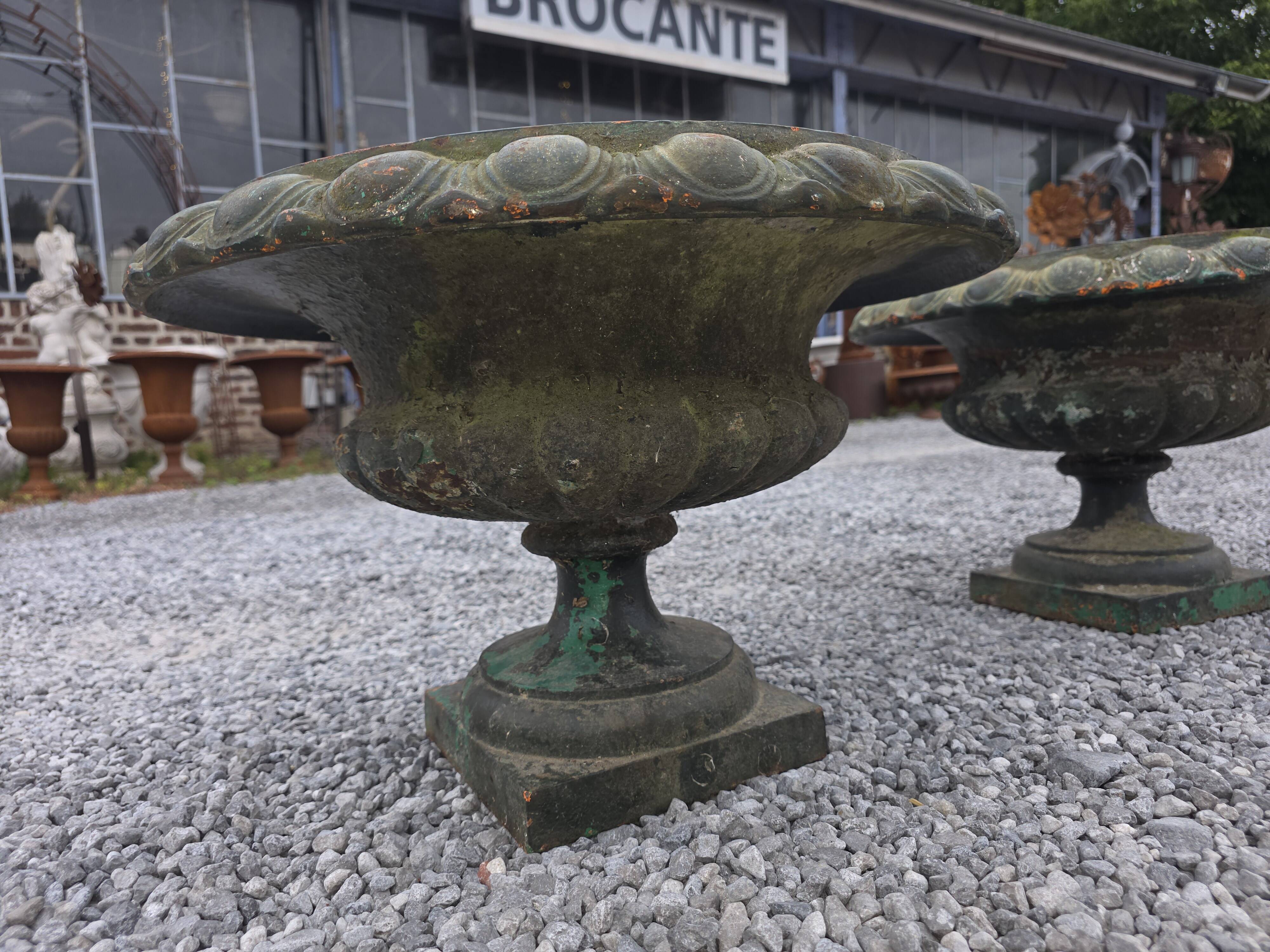 Pair of Medici vases in cast iron from the 19th century, 55cm wide.
