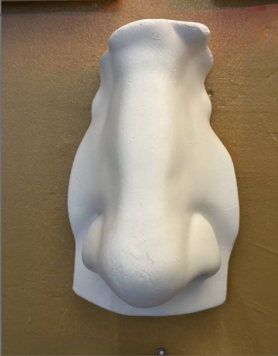Nose and mouth in plaster of David by Michelangelo