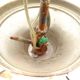 Design chandelier in smoked glass 6 lights