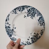 Old flat plates Marie-Louise