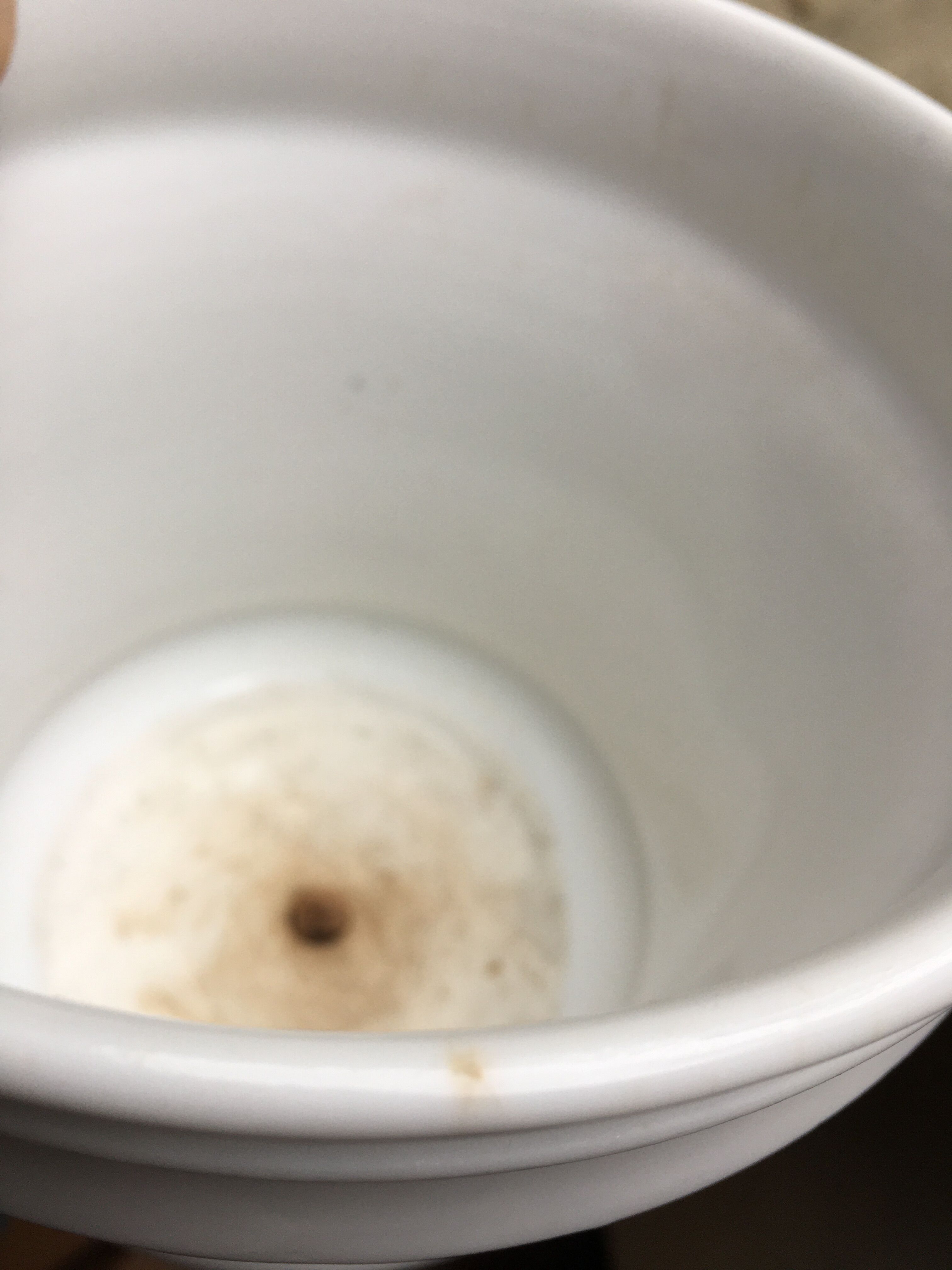 Porcelain pot cover of Paris