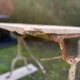 Bistro table