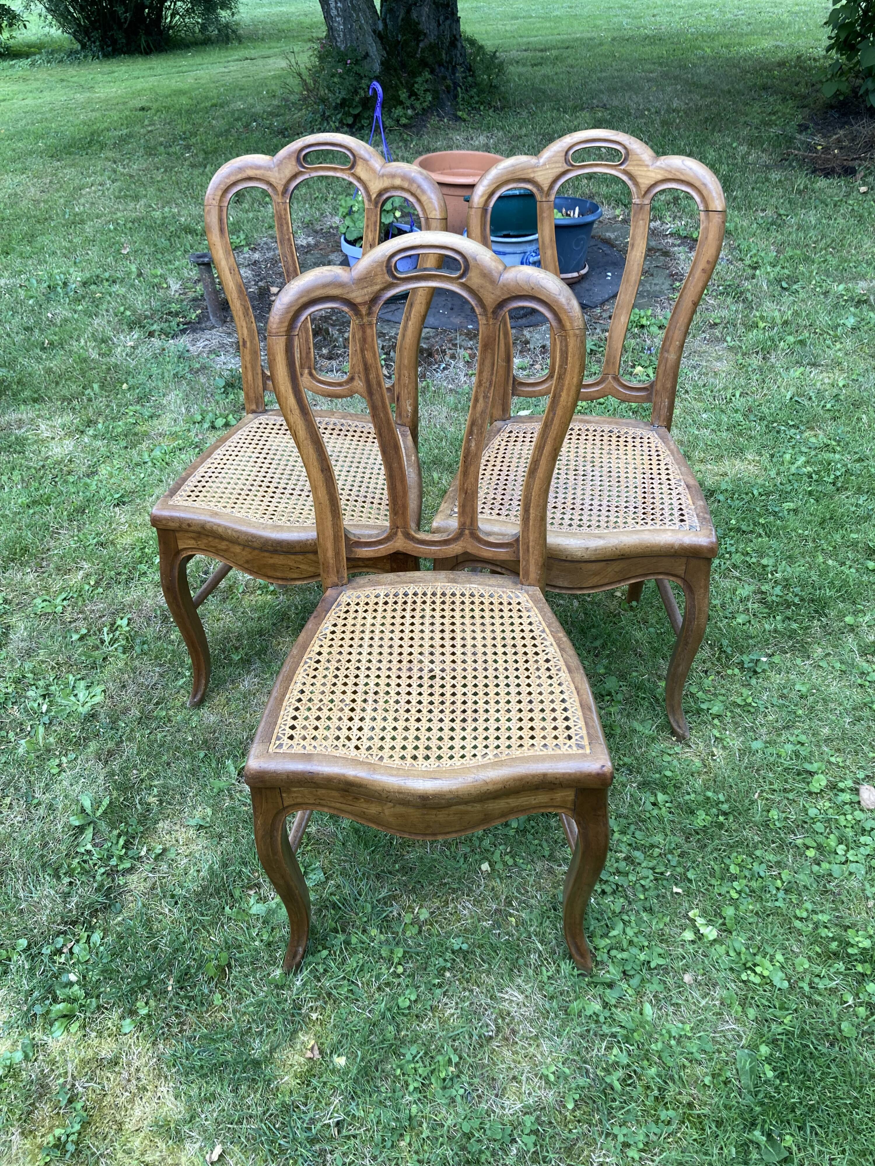 6 louis philippe cannate chairs