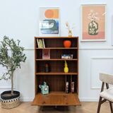 Bookcase with door