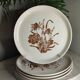 Speckled stoneware dinner plates