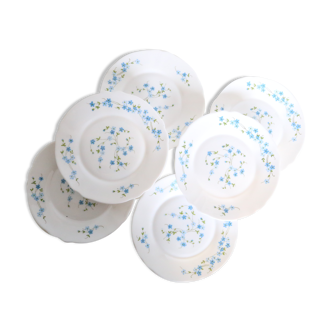 Lot de 6 assiettes à dessert Arcopal, motif Veronica