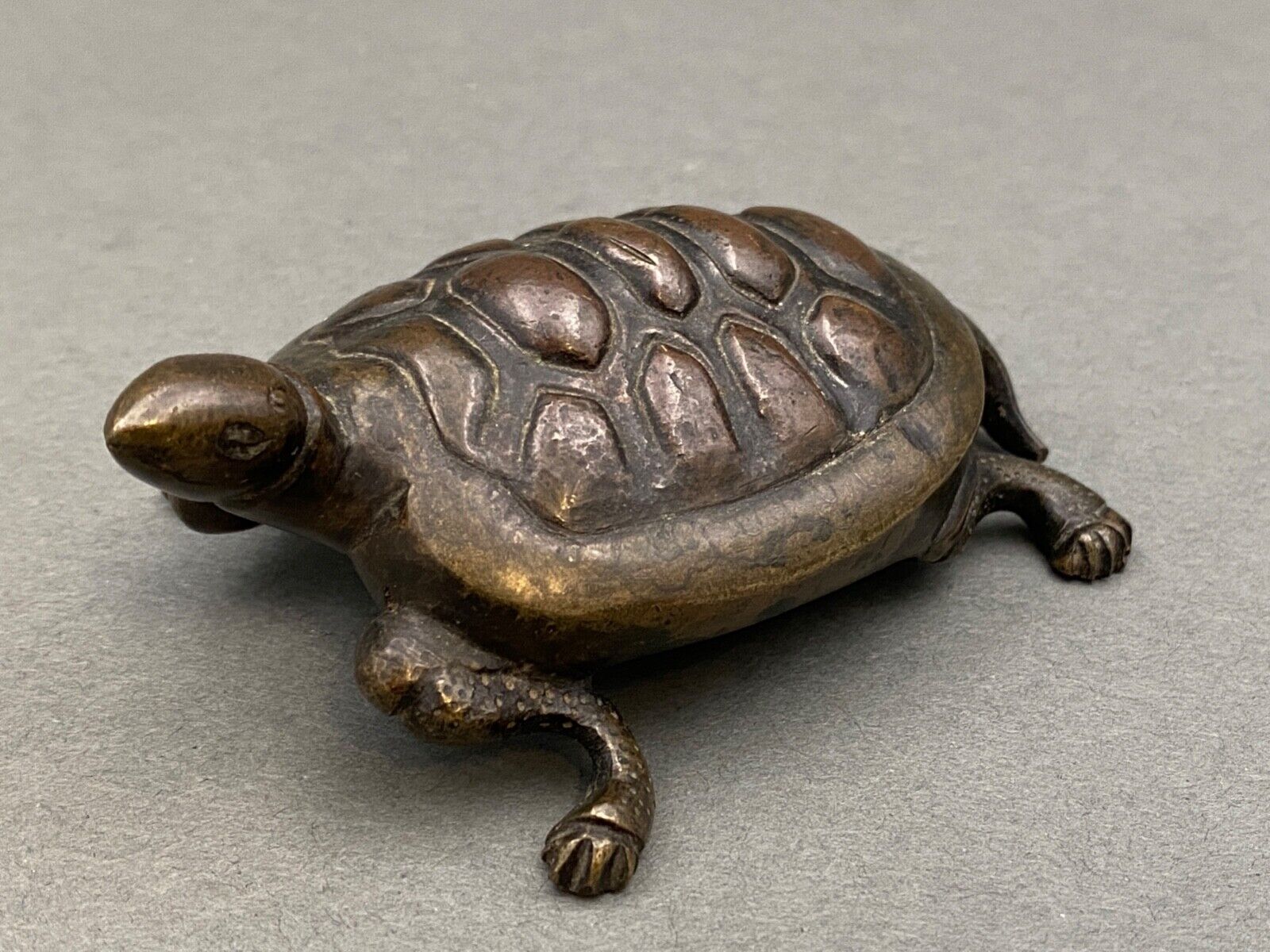 Bronze turtle XIXth Chocolate patina Fine carving
