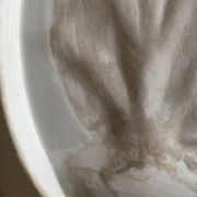 Poultry dish 1900s