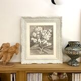 Almond branches in bloom in a glass of water