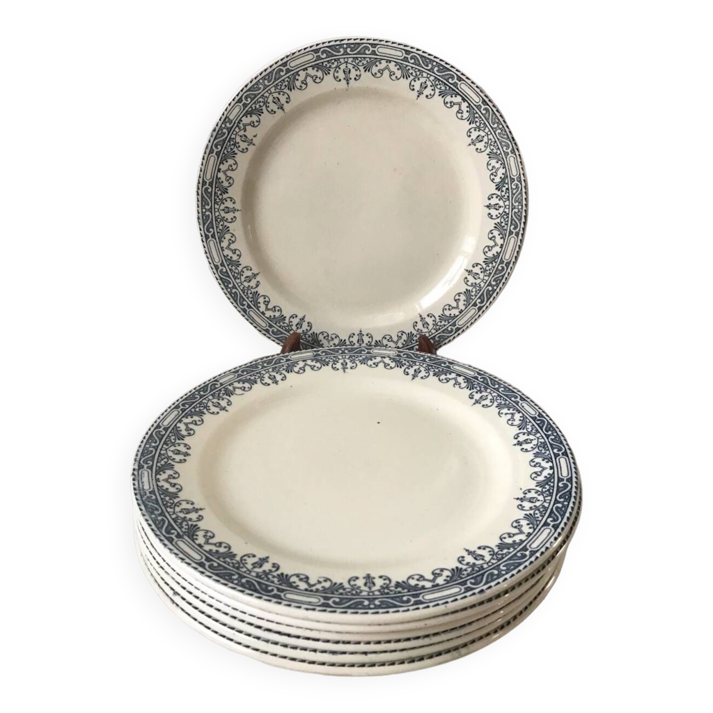 Lot De 5 Assiettes Plates Salins BM Terre De Fer - Service Sermaize, Occasion Avec Traces