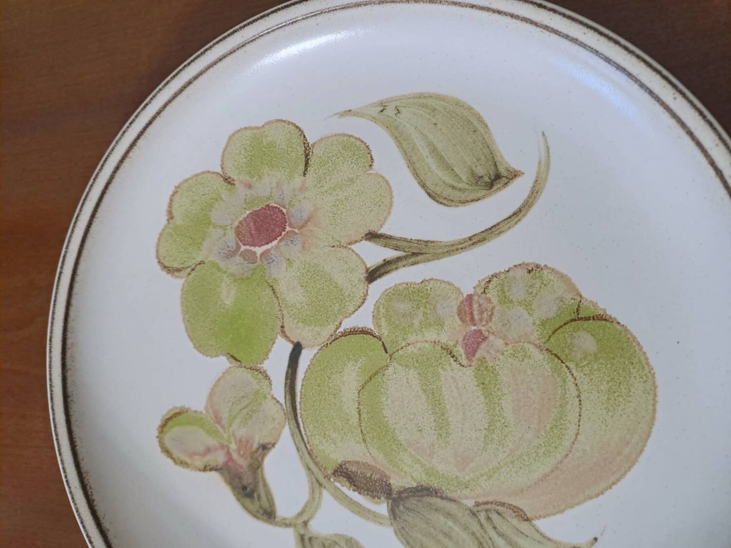 6 stoneware dinner plates