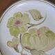 6 stoneware dinner plates