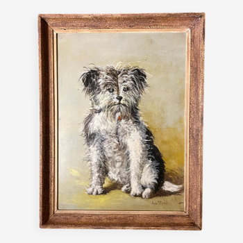 Portrait of a dog