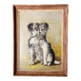 Portrait de chien