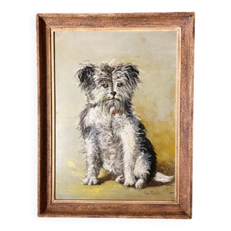 Portrait of a dog