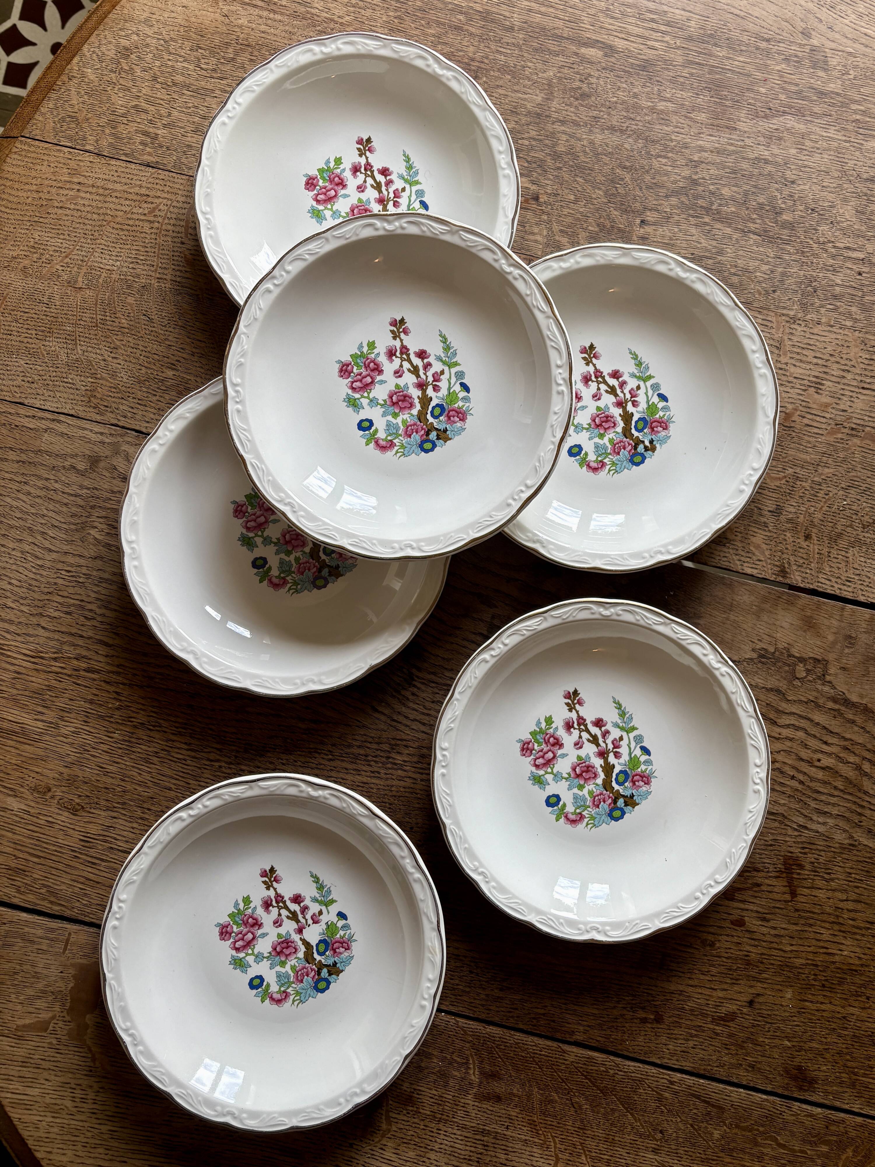 Set of 6 vintage soup plates, "Indian Tree" pattern by Digoin