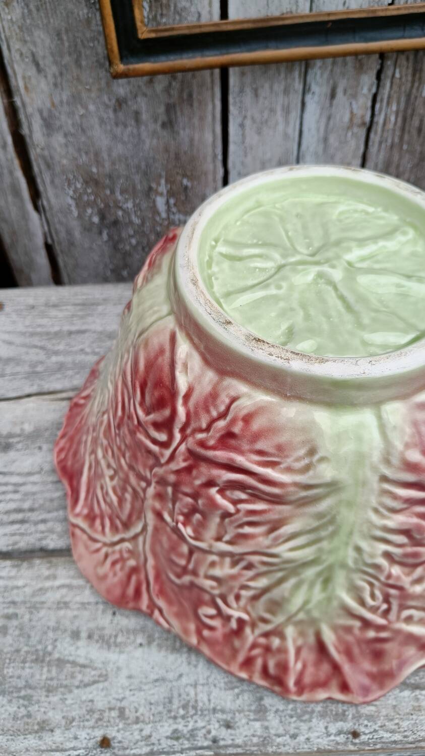 Pink cabbage slip salad bowl