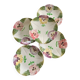 HB Choisy-le-Roi earthenware plates
