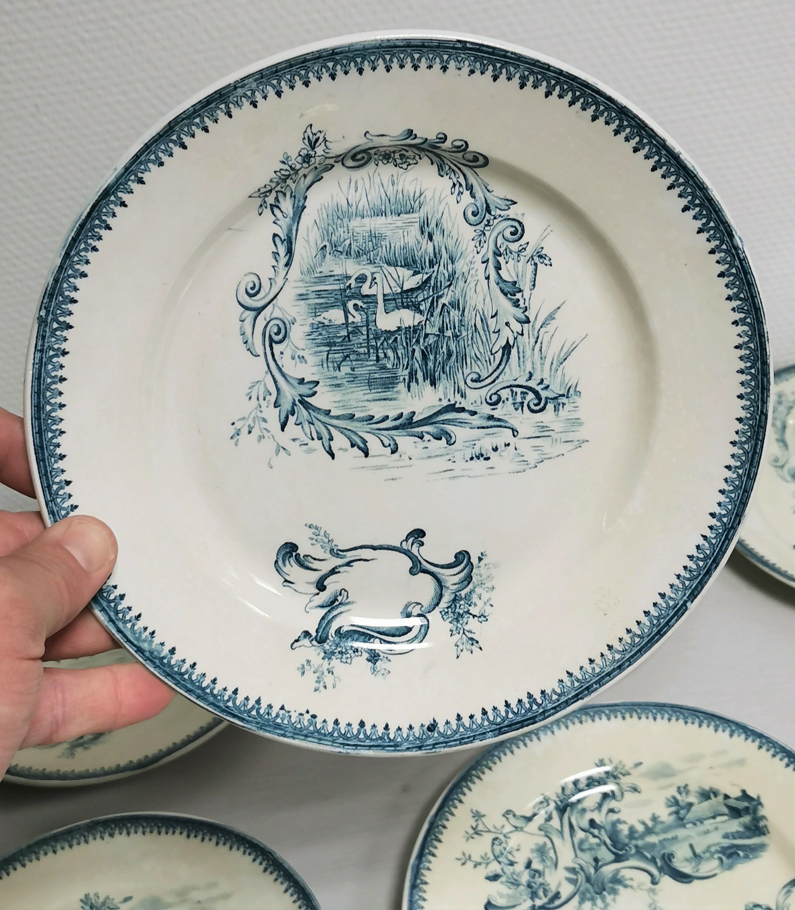 Table service 12 old plates Terre de Fer Rocaille , Faience Pexonne