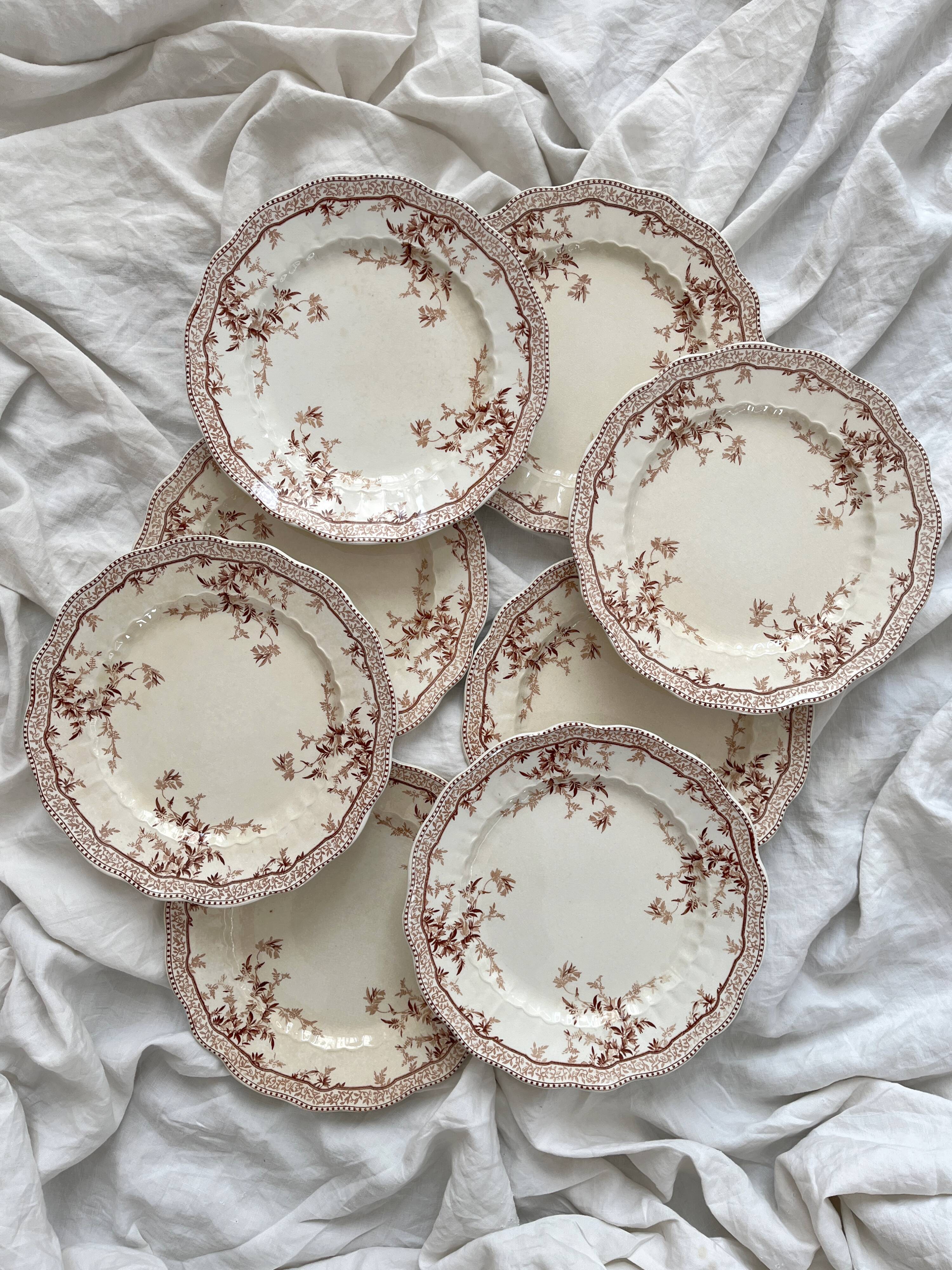 8 Ridgways England Royal Semi Porcelain "Eton" Ironstone Dinner Plates