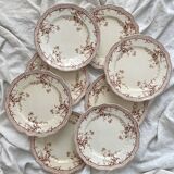 8 Ridgways England Royal Semi Porcelain "Eton" Ironstone Dinner Plates